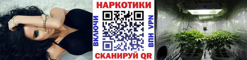 Как найти наркотики Елабуга Канабис  Cocaine  Гашиш  СК  Галлюциногенные грибы  Мефедрон 