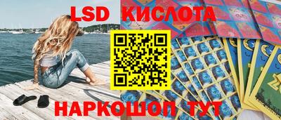 индика Краснознаменск