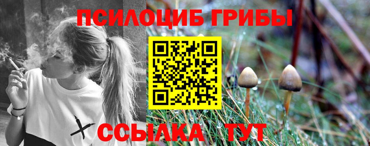 цена наркотик  Псилоцибиновые грибы Psilocybe  Вход с VPN  Елабуга 